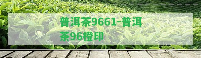 普洱茶9661-普洱茶96橙印