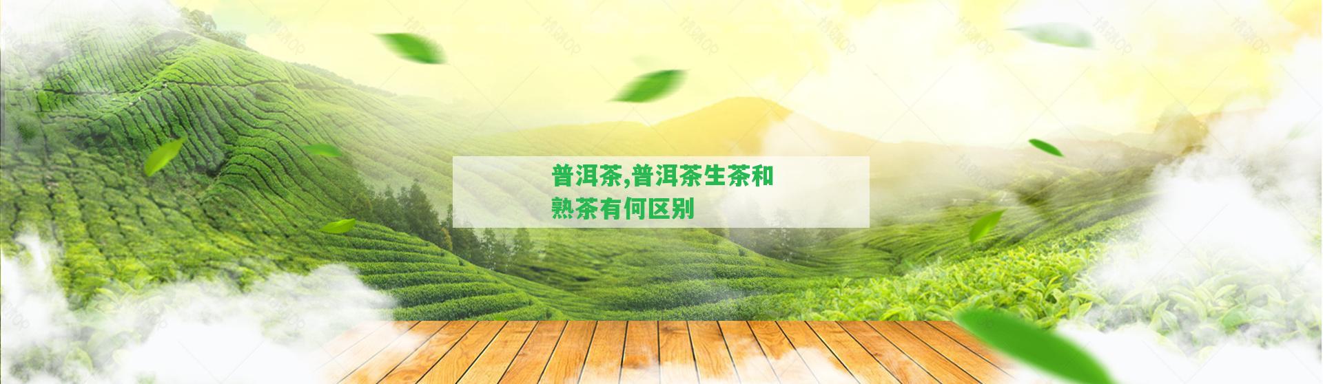 普洱茶,普洱茶生茶和熟茶有何區(qū)別