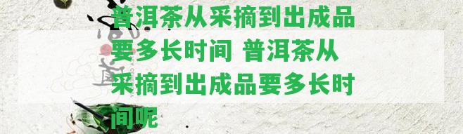 普洱茶從采摘到出成品要多長時(shí)間 普洱茶從采摘到出成品要多長時(shí)間呢