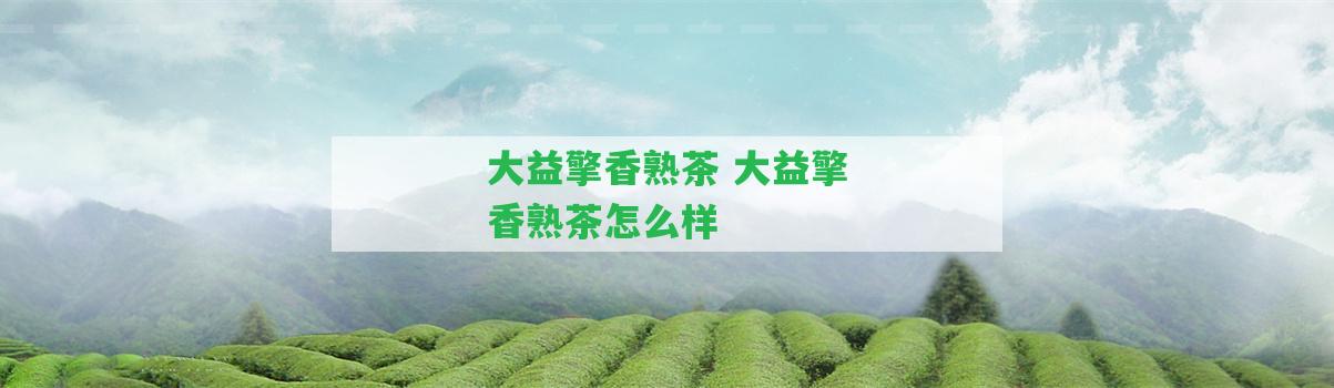 大益擎香熟茶 大益擎香熟茶怎么樣