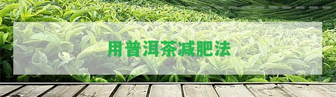 用普洱茶減肥法