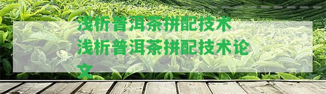 淺析普洱茶拼配技術(shù) 淺析普洱茶拼配技術(shù)論文