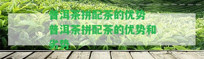 普洱茶拼配茶的優(yōu)勢 普洱茶拼配茶的優(yōu)勢和劣勢