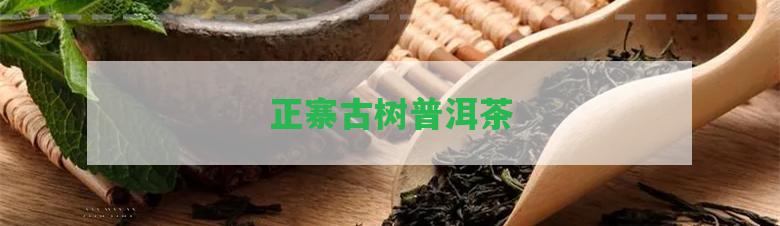 正寨古樹(shù)普洱茶