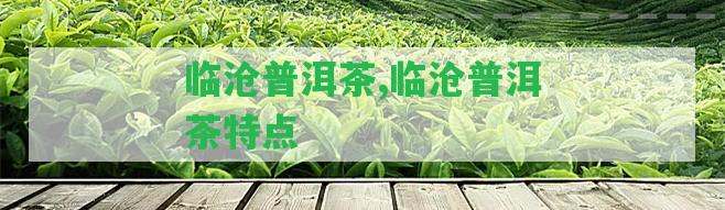 臨滄普洱茶,臨滄普洱茶特點(diǎn)