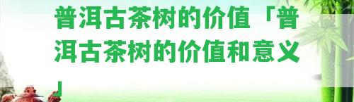 普洱古茶樹的價值「普洱古茶樹的價值和意義」