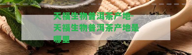 天福生物普洱茶產(chǎn)地-天福生物普洱茶產(chǎn)地是哪里