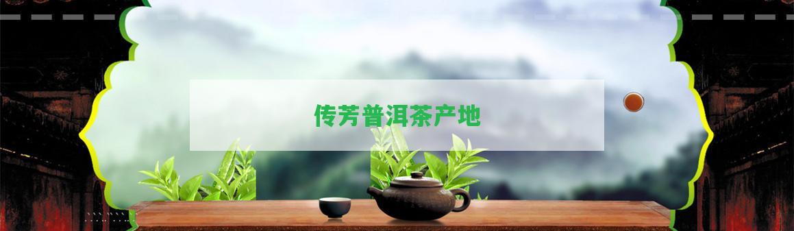 傳芳普洱茶產(chǎn)地