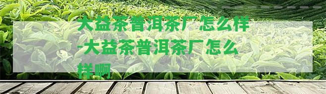 大益茶普洱茶廠(chǎng)怎么樣-大益茶普洱茶廠(chǎng)怎么樣啊