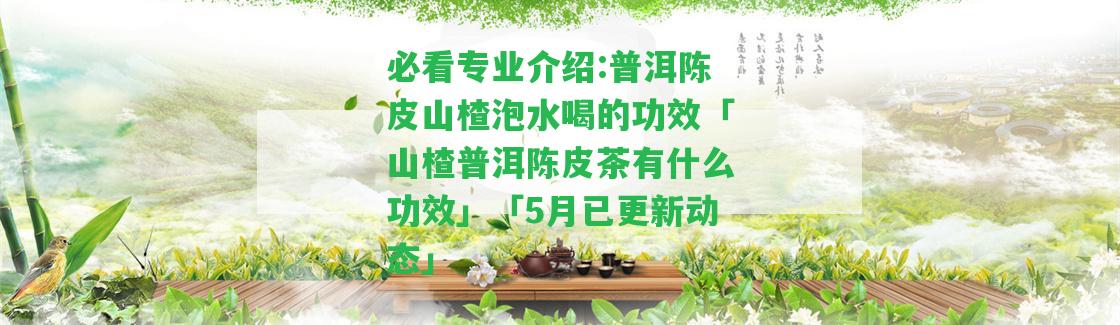 必看專業(yè)介紹:普洱陳皮山楂泡水喝的功效「山楂普洱陳皮茶有什么功效」「5月已更新動態(tài)」