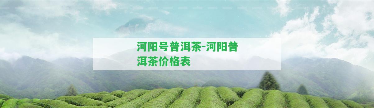 河陽號普洱茶-河陽普洱茶價格表