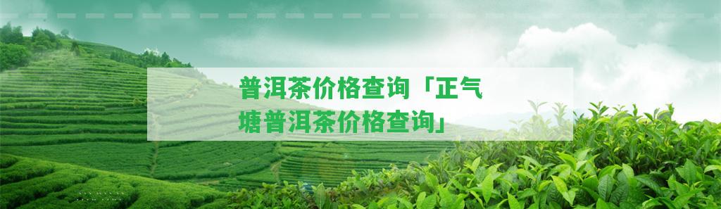 普洱茶價格查詢「正氣塘普洱茶價格查詢」