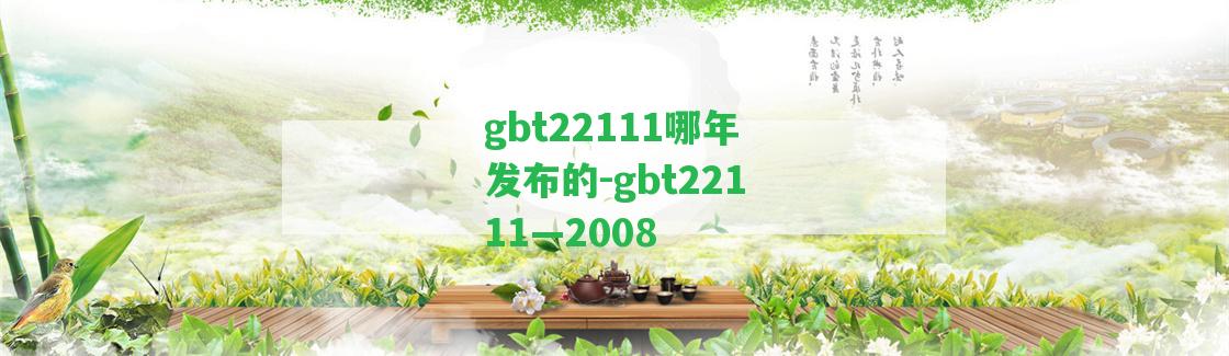 gbt22111哪年發(fā)布的-gbt22111—2008