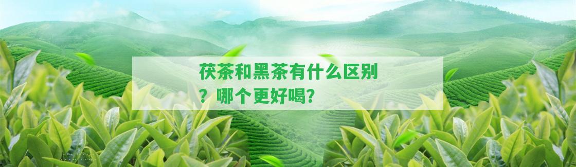 茯茶和黑茶有什么區(qū)別？哪個(gè)更好喝？