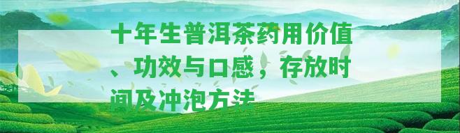 十年生普洱茶藥用價值、功效與口感，存放時間及沖泡方法