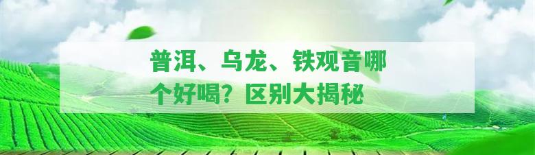 普洱、烏龍、鐵觀音哪個好喝？區(qū)別大揭秘