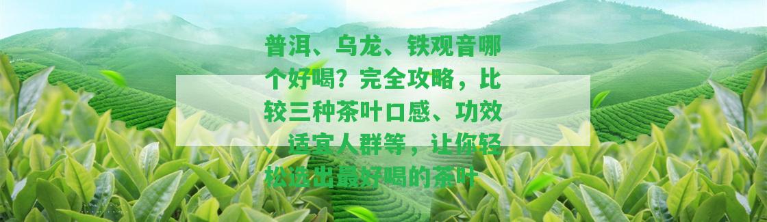 普洱、烏龍、鐵觀音哪個好喝？完全攻略，比較三種茶葉口感、功效、適宜人群等，讓你輕松選出最好喝的茶葉