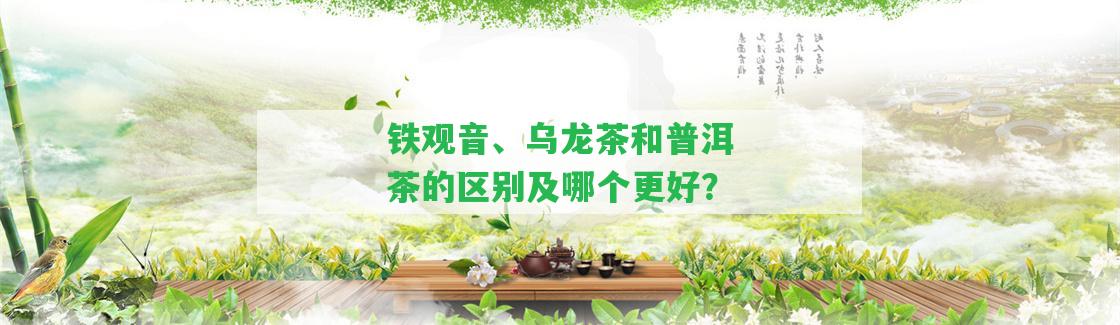 鐵觀音、烏龍茶和普洱茶的區(qū)別及哪個(gè)更好？