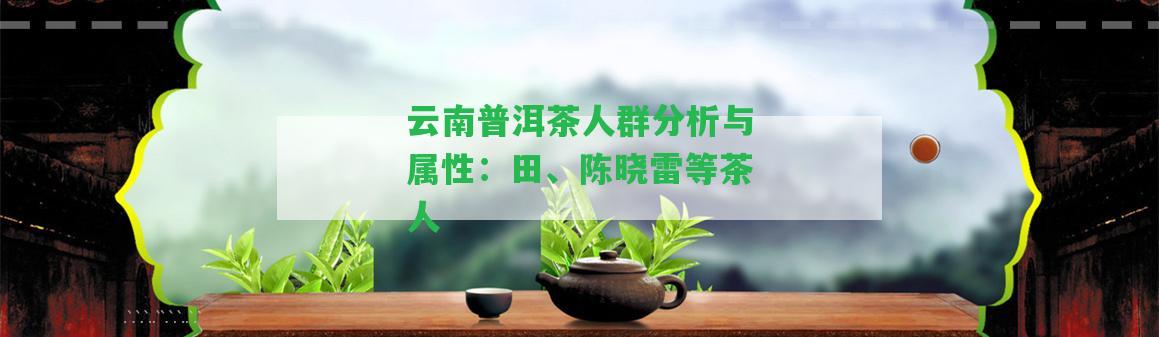 云南普洱茶人群分析與屬性：田、陳曉雷等茶人