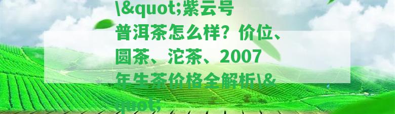 \"紫云號(hào)普洱茶怎么樣？?jī)r(jià)位、圓茶、沱茶、2007年生茶價(jià)格全解析\"