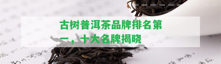 古樹普洱茶品牌排名第一，十大名牌揭曉