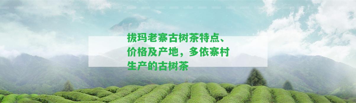 拔瑪老寨古樹茶特點、價格及產(chǎn)地，多依寨村生產(chǎn)的古樹茶