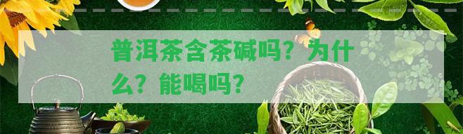 普洱茶含茶堿嗎？為什么？能喝嗎？