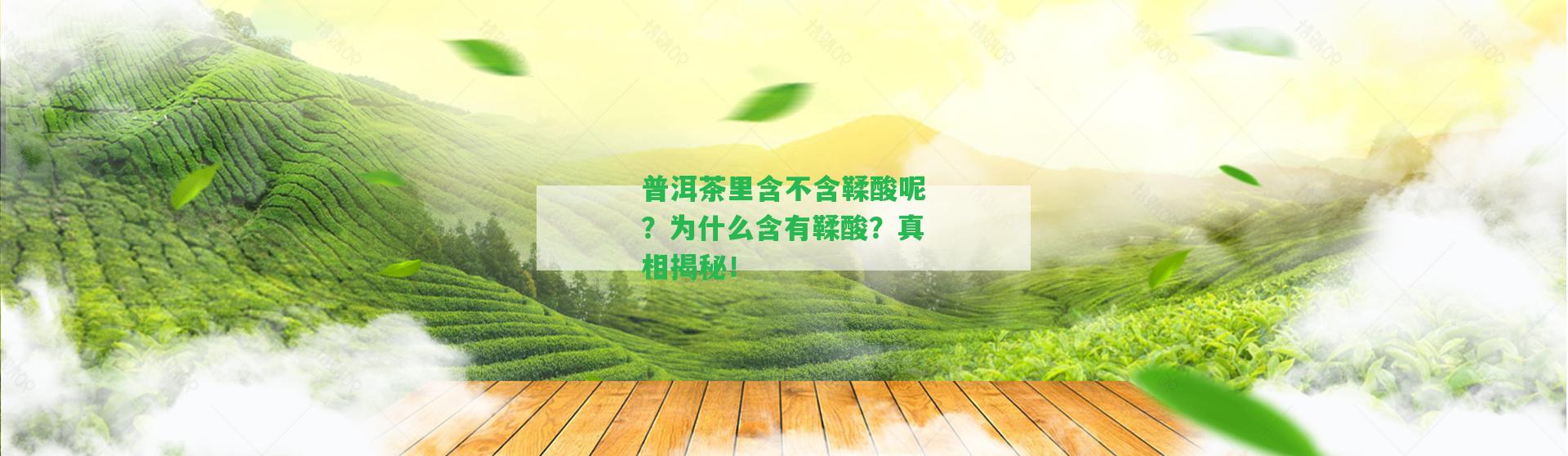 普洱茶里含不含鞣酸呢？為什么含有鞣酸？真相揭秘！