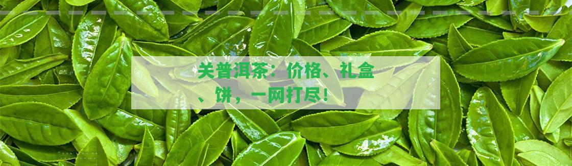 關(guān)普洱茶：價(jià)格、禮盒、餅，一網(wǎng)打盡！