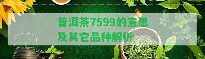 普洱茶7599的意思及其它品種解析