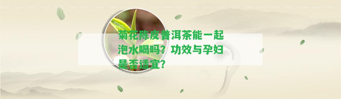 菊花陳皮普洱茶能一起泡水喝嗎？功效與孕婦是不是適宜？