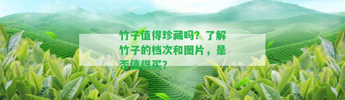 竹子值得珍藏嗎？熟悉竹子的檔次和圖片，是不是值得買？