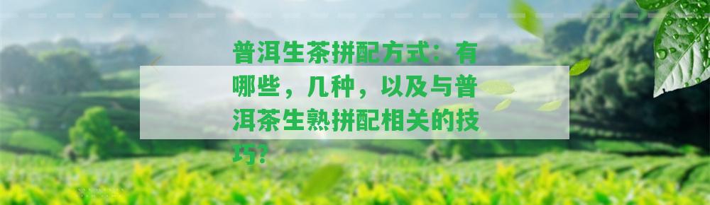 普洱生茶拼配方法：有哪些，幾種，以及與普洱茶生熟拼配相關(guān)的技巧？