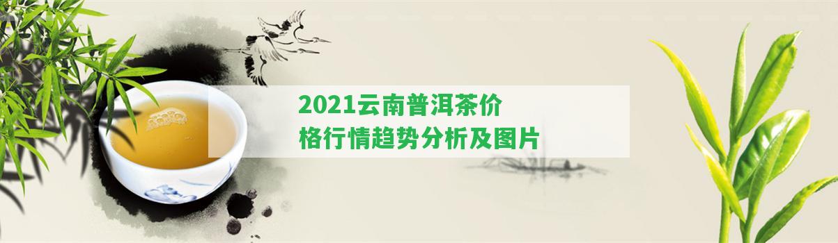 2021云南普洱茶價(jià)格行情趨勢(shì)分析及圖片