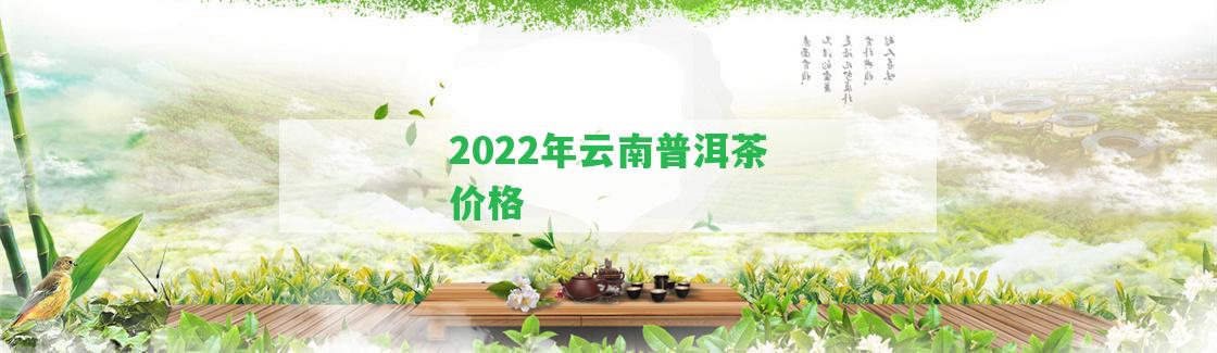 2022年云南普洱茶價(jià)格