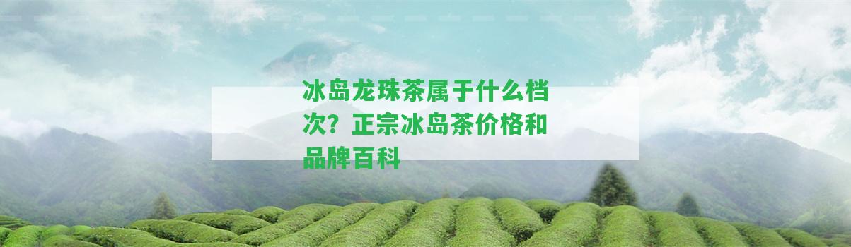 冰島龍珠茶屬于什么檔次？正宗冰島茶價格和品牌百科