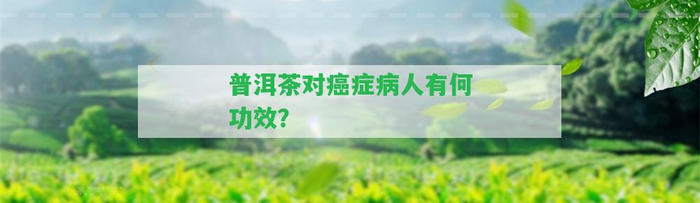 普洱茶對(duì)癌癥病人有何功效？