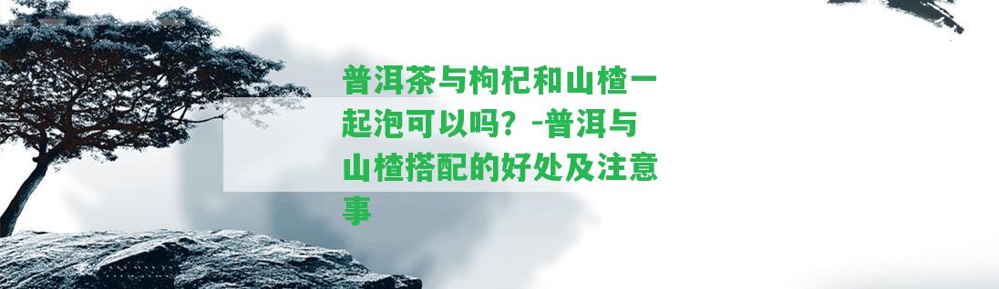 普洱茶與枸杞和山楂一起泡可以嗎？-普洱與山楂搭配的好處及留意事