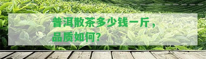 普洱散茶多少錢一斤，品質(zhì)怎樣？