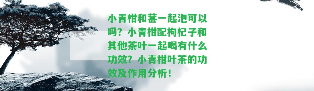 小青柑和葚一起泡可以嗎？小青柑配枸杞子和其他茶葉一起喝有什么功效？小青柑葉茶的功效及作用分析！