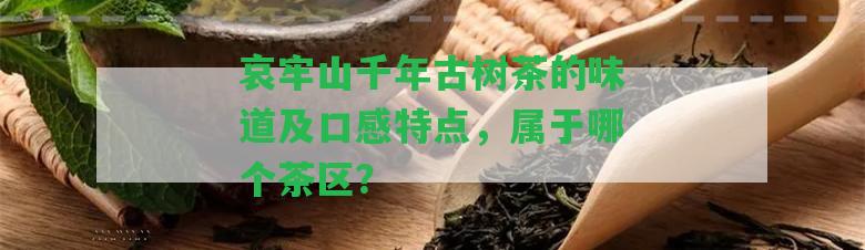 哀牢山千年古樹茶的味道及口感特點，屬于哪個茶區(qū)？