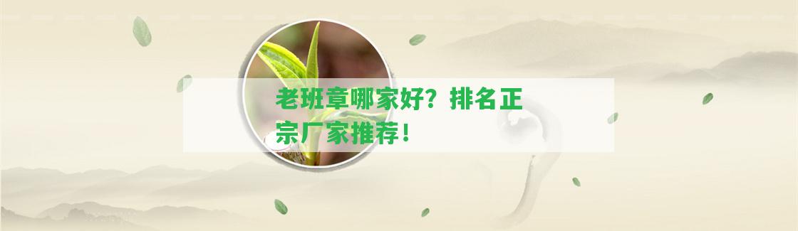 老班章哪家好？排名正宗廠家推薦！