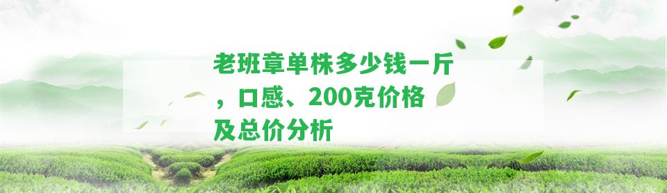 老班章單株多少錢一斤，口感、200克價(jià)格及總價(jià)分析