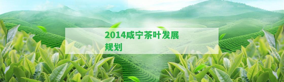 2014咸寧茶葉發(fā)展規(guī)劃