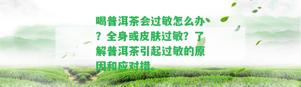 喝普洱茶會(huì)過敏怎么辦？全身或皮膚過敏？熟悉普洱茶引起過敏的起因和應(yīng)對(duì)措。