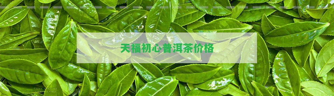 天福初心普洱茶價格