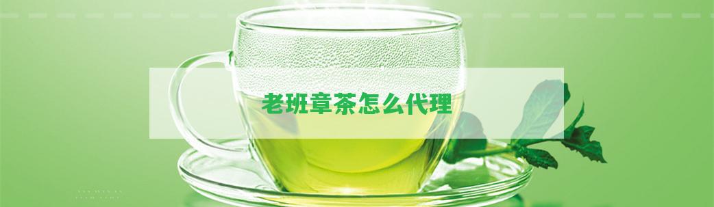 老班章茶怎么代理