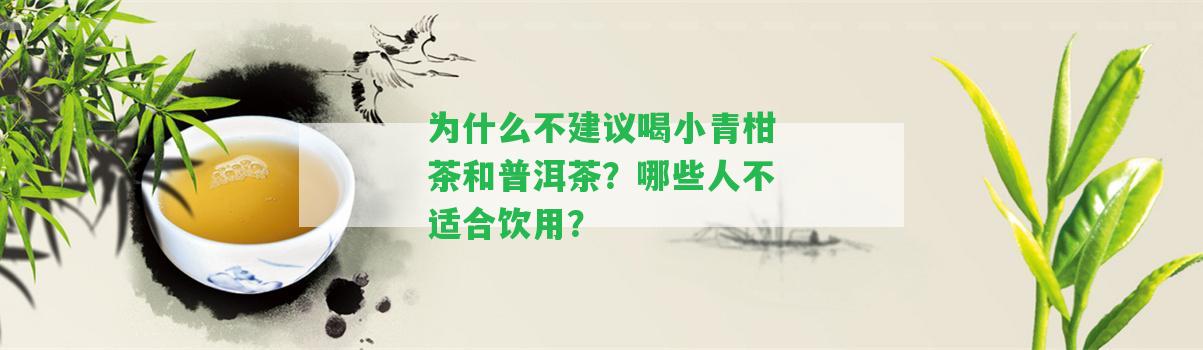 為什么不建議喝小青柑茶和普洱茶？哪些人不適合飲用？