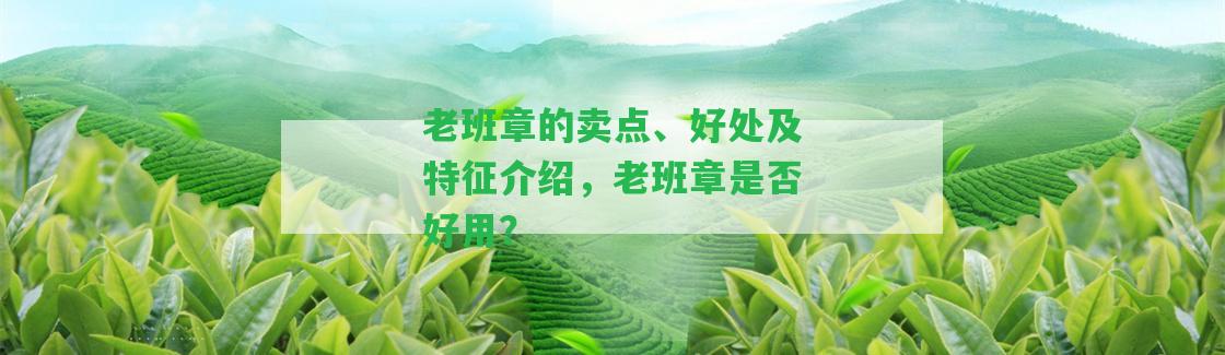 老班章的賣點(diǎn)、好處及特征介紹，老班章是不是好用？