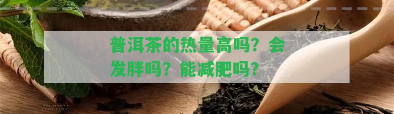 普洱茶的熱量高嗎？會(huì)發(fā)胖嗎？能減肥嗎？